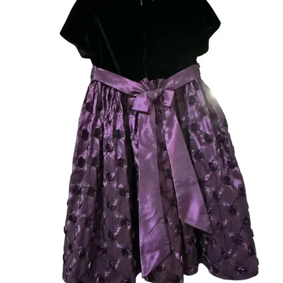 American Princess dress - Picture 5 of 8